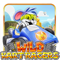 Wild Kart Racers